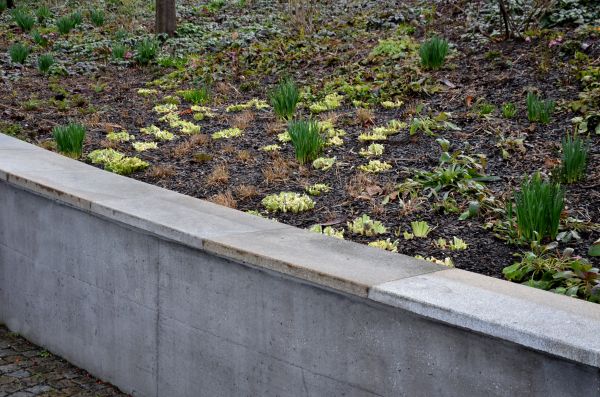 Concrete Wall Construction in Dublin