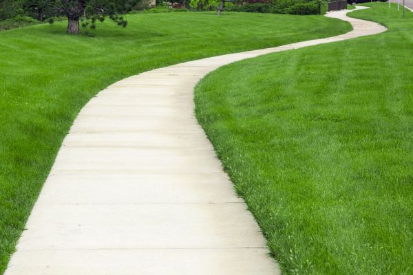 Pathway Replacement in Dublin