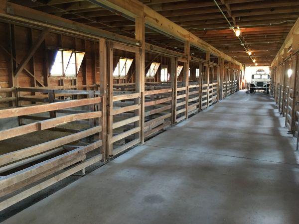 Barn Slab Construction in Dublin
