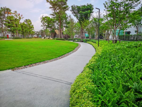 Cement Walkway Service in Dublin