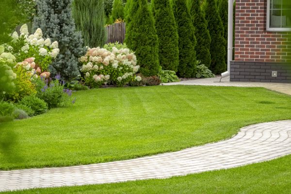 Landscape Walkway Installation in Dublin